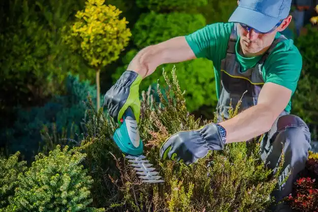 landscaping services Macy
